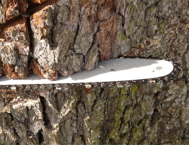 What makes a chainsaw chain aggressive