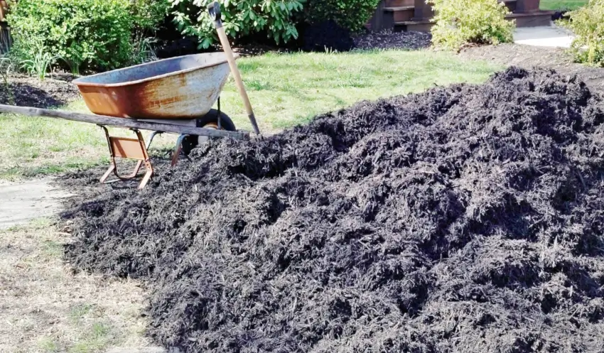 Is a plastic or steel wheelbarrow better?