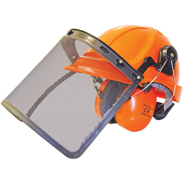 Professional Forestry Helmet